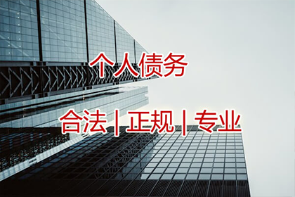 债务诉讼强制执行无资金偿还的应对策略